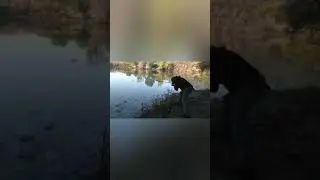 PARKLIFE feat. Bighook catfishing Cache Creek.
