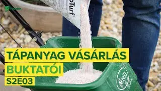 A zöld GYEP nem lehetetlen. Tápanyagválasztás OKOSAN ! #legyenzöld