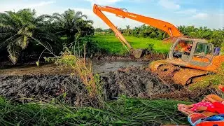 Amazing mencari Belut Pakai Excavator