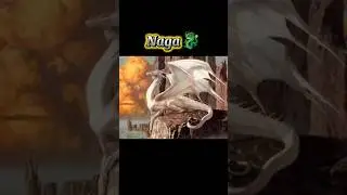 HEWAN YANG SUDAH PUNAH YANG TEREKAM KAMERA #shorts #short #shortvideo