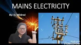 Woodrose International School: Mains electricity (Grade- 4 Science)