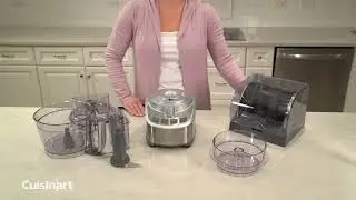 Why Isn&rsquo;t My Elite Food Processor Working?