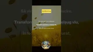 Chem &icirc;napoi banii pierduți mantra c&acirc;ntată pe un ritm de dans. #mantra  #goldenkey