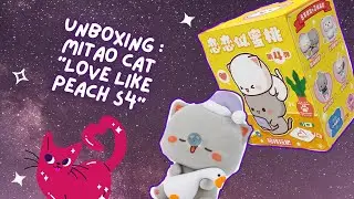 Mitao Cat &ldquo;Love Like Peach S4&rdquo; Unboxing