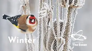 Winter - Nurture Nature