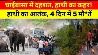 चाईबासा में हाथी का कहर 😱 घर के सामने महिला की मौ#त, पति-बेटा घायल | Jharkhand News