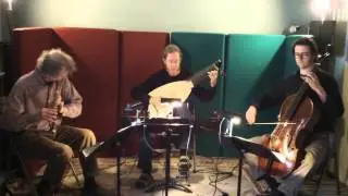 Concerto in G Minor: Tempo di Polonese by Adam Falckenhagen