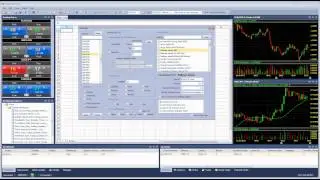 Real Time Price Data