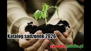 Premiera katalogu sadzonek 2026