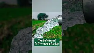 मछली पालन का लाइव फिश कैरियर सिस्टम | Fish Farming | Kisan Of India News Update | #shorts #viral