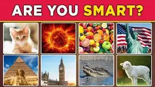 Are you smarter than a 7th grader? Quiz / Random Trivia