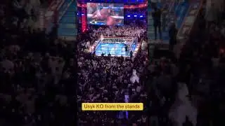 Usyk KO v Dubois at Wembley #boxing #short #fyp #usyk #undisputed #knockout