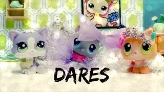 Littlest Pet Shop: The Kitten Show (#3: DARES)