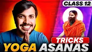 Yoga Asana Tricks 🔥 Yoga Unit 3 | Physical Education Class 12 CBSE 2024-25