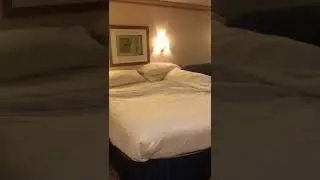 Royal Caribbean Explorer of the Seas Junior Suite 1312