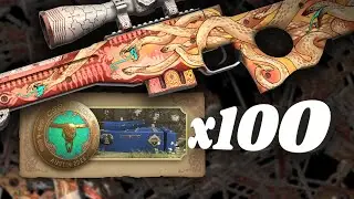 Der Desert Hydra auf der Jagd! | 100x Austin Souvenir Packages