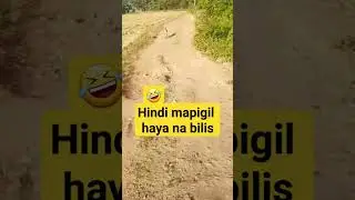 Viral Horn sa Pinas hayan na  #viral #comedy #funny #shortvideo #shorts