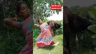 amake valo basle ami sob debo #funny #comedy #vairal #video #🤣😂🤣😂🤣😂🤣😂🤣