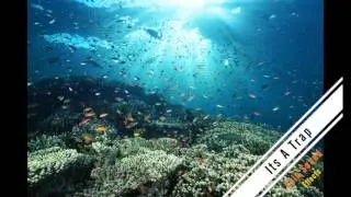 Its A Trap - Epic Sound Effects