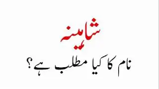 Shahina name meaning i Urdu | Shaheena naam ka kia matlab ha
