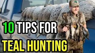 10 TEAL SEASON TIPS