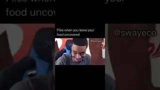 😭😭😂 #flightreacts #meme #relatable #memes #funny #comedy #animals #funnyshorts #funnymemes #lmao