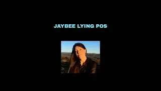 Jaybee Lying POS Dog - Keeps Repeating the Same Old Heather Wade Story