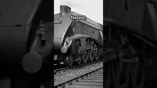 The A4 Class Mallard and Her Sisters Locomotives #a4 #steamtrains #trains #train #fyp