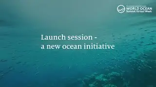 World Ocean Summit Virtual Week: Back to Blue - the launch of a new ocean initiative