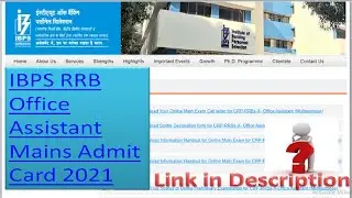 IBPS RRBx Office Assistant Main exam call letter download now