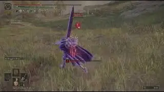 Elden Ring Invasions PvP - Grace Duel with Invader Drier-Author48
