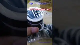 Japan Factory NOK OUY PU Material Standard Size High Pressure Piston Rod Seal for Hydraulic Cylind