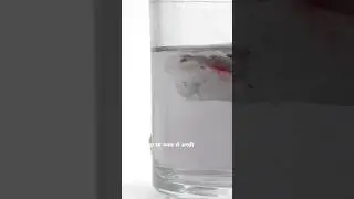पानी में नमक डालने से क्या होता है? 🤔 #shorts #Science