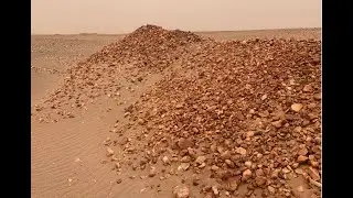 Inspecting the area where exploration has been done at a tenement in the Sahara Desert, Mauritania.