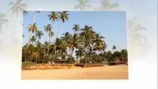 Get Arambol Beach Huts Goa Hotels Information