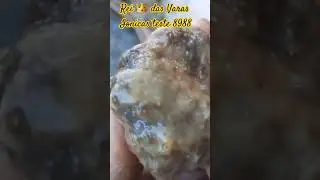 Rei 👑 das Varas Ionicas teste 8988