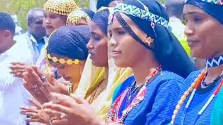 #collection #afar #traditinal #wedding #culturaldance 2025