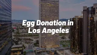 Egg Donation Los Angeles - Egg Donation Agency