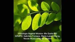 Hist&oacute;ria Vegetal M&uacute;sica- Me gusta Bio (Gabi Fornaza, Malu Chiang, Nicole Muniz e Nicole Jardim)