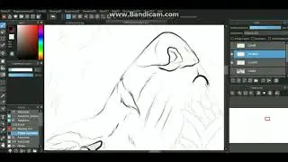 Wolf speedpaint