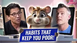 Корм для хомяков: привычки, которые делают вас бедными!