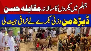 Jhelum Goat Beauty Competition | Giant Goat Takes the Trophy | News Alert