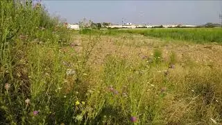 Parco Adriano Lotto 2