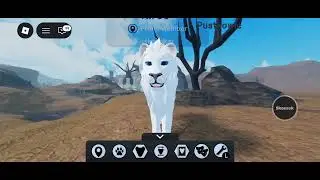 Pa pa interakcja roblox 