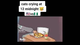 Cats 🐈 in The USA 🇺🇸 VS Nigeria Cats 🐈 Pussy Cats Life