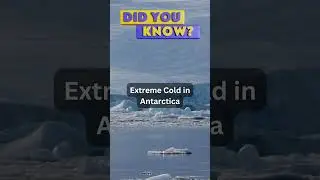 Did you know? Extreme Cold