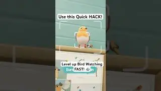 How to LEVEL UP Bird Watching FAST on Heartopia!