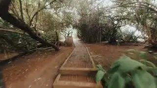 THE CLIFF WELIGAMA