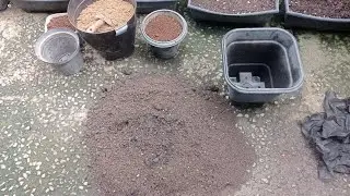 Como preparar a terra de vasos para plantar de tudo, passo a passo 