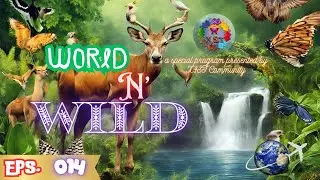 World n Wild 14: Fossa #youtube #animals #amazing #science #facts #learning